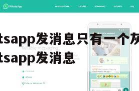 【whatsapp发消息只有一个灰色对号】whatsapp发消息
